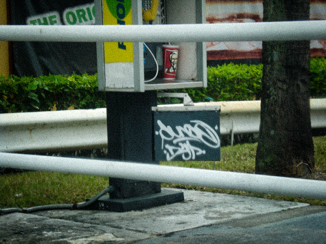 DUNCE