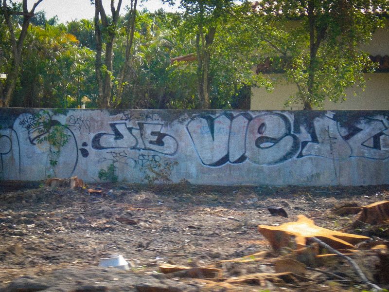 VIE