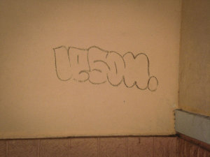 LESON