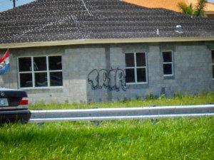 TRIPO