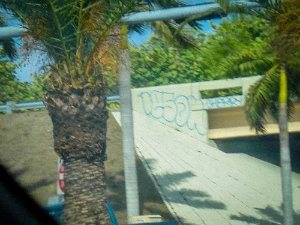 LESON