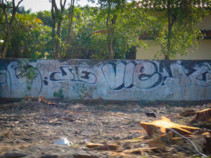 VIE