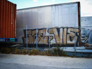 SEZ VIE