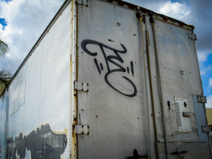 TE