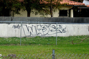 WAZE