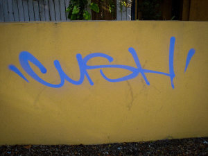 CUSH