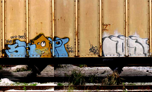 SKEP COSE