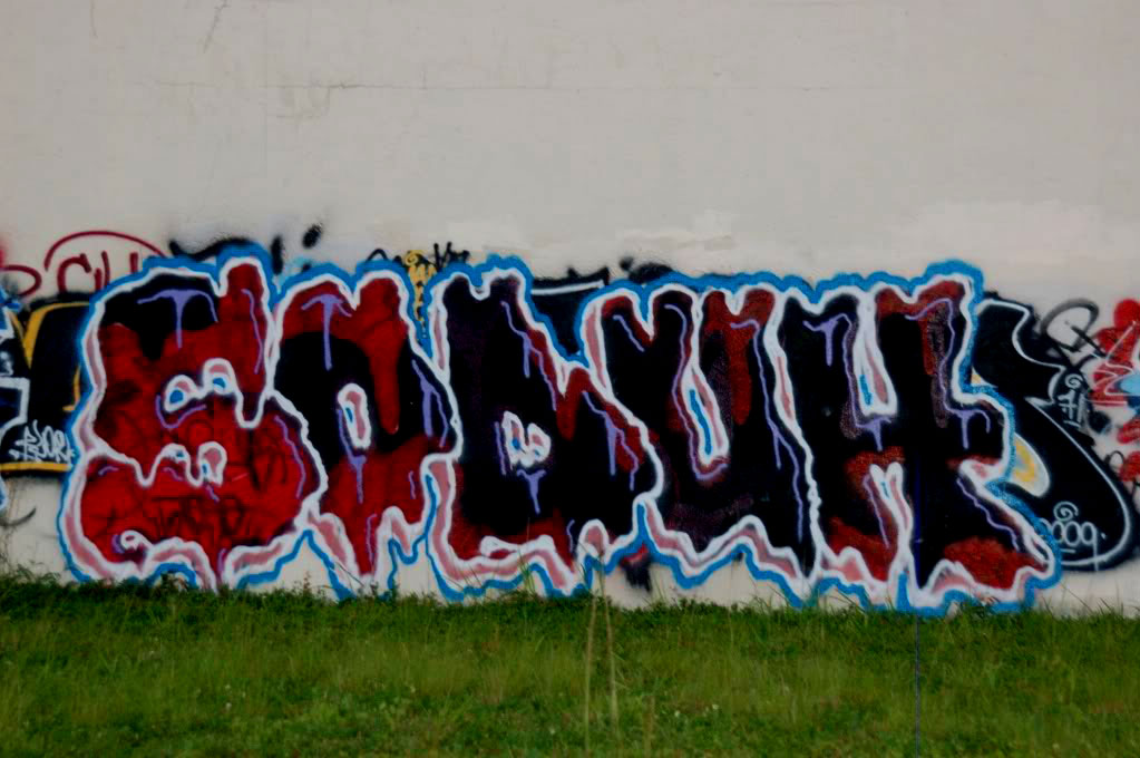 SODUH