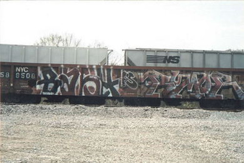 BASH RUMOR