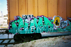 SINER