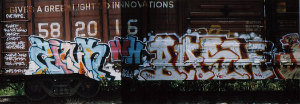 ZINK BASH