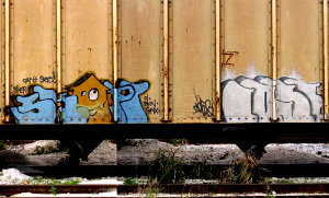SKEP COSE