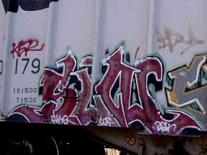 SINER