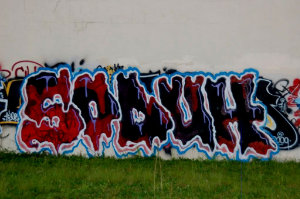 SODUH