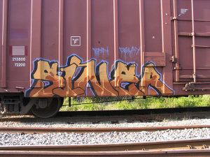 SINER
