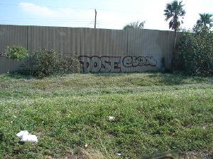 DOSE ESON