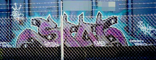 SINER