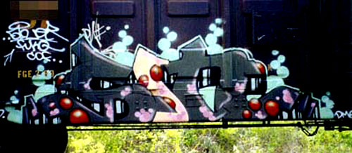 SINER