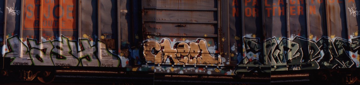 BASH CREED WON