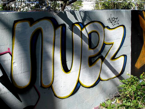 NUEZ