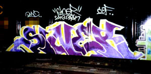 SINER