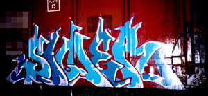 SINER