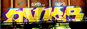 SINER
