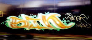 SINER