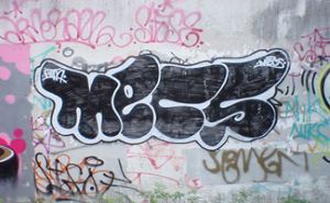 MECS