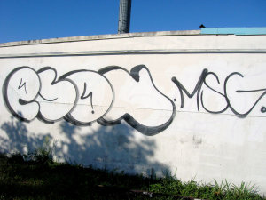 ESON
