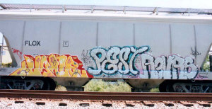 VANE PEST REVRS