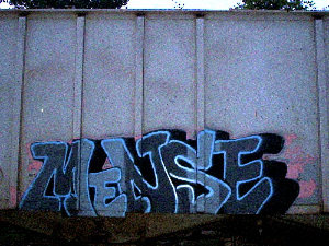 MENSE