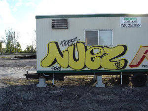 NUEZ